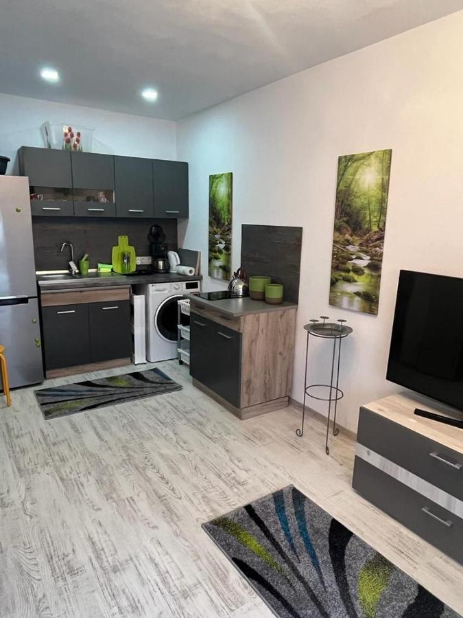Apartament Acasa Sf.Gheorghe Sfântu-Gheorghe 외부 사진