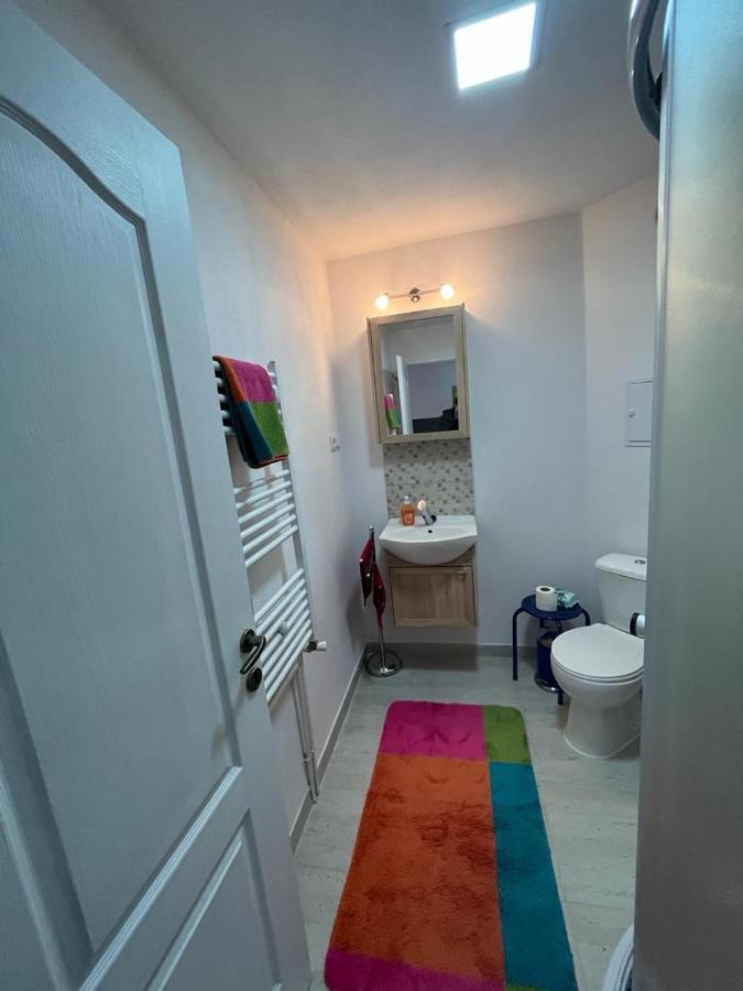 Apartament Acasa Sf.Gheorghe Sfântu-Gheorghe 외부 사진