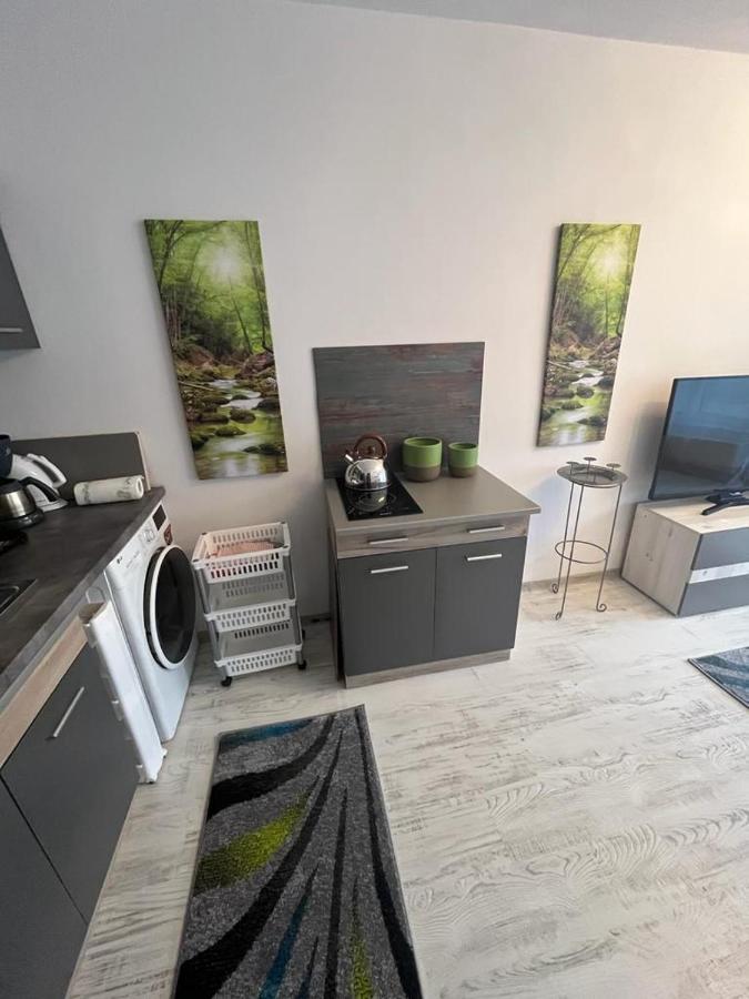 Apartament Acasa Sf.Gheorghe Sfântu-Gheorghe 외부 사진