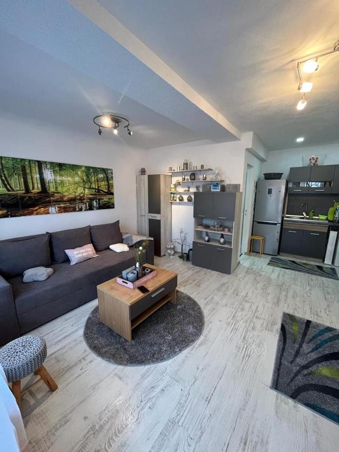 Apartament Acasa Sf.Gheorghe Sfântu-Gheorghe 외부 사진